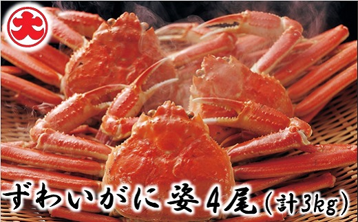 ykCszD-01049y12/21܂ŔNzz 킢Ɏp4(v3kg)