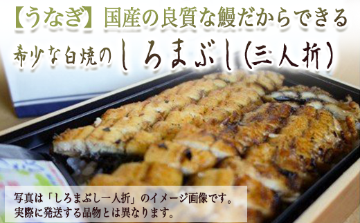 大垣市ふるさと納税ポイント 10 000ポイント 岐阜県大垣市 ふるさと納税 ふるさとチョイス