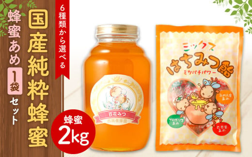 【選べる蜂蜜】国産 純粋 蜂蜜 2kg 蜂蜜あめ 1袋 はちみつ - 熊本県