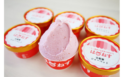 【奈良県橿原市】いちご農家の自家製SWEETS　いちご（あすかルビー・古都華）のアイスクリーム（10個入）
