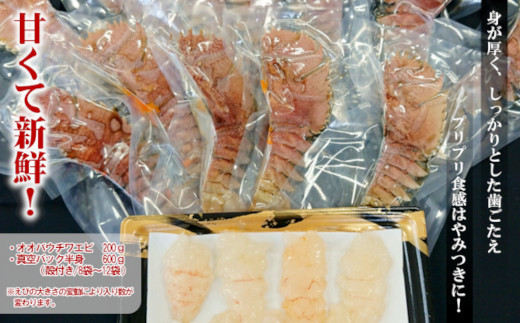 D5 002 うちわえび刺身と半身 殻付 セット 長崎県松浦市 ふるさと納税 ふるさとチョイス