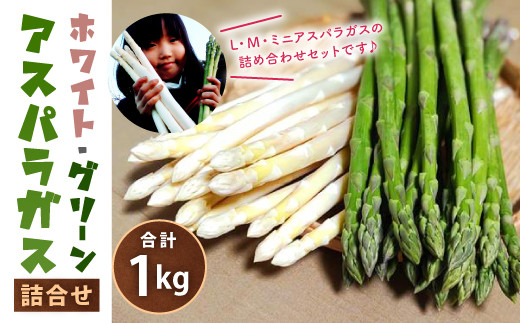 【佐賀県鳥栖市】14-26 ホワイト グリーン アスパラガス 詰合せ 1kg 野菜