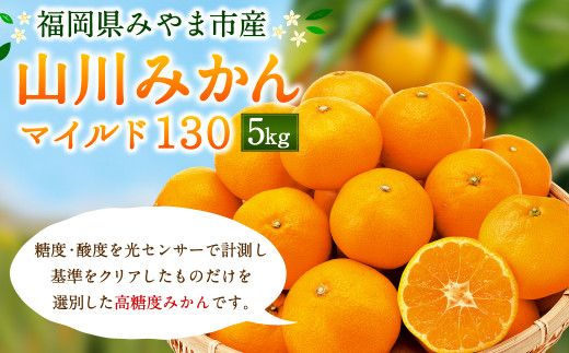 11月発送 山川 みかん 5kg ミカン 蜜柑 福岡県みやま市 ふるさと納税 ふるさとチョイス