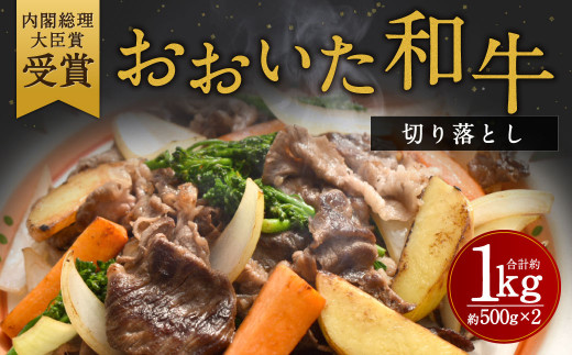 y啪|csza ؂藎Ƃ 500g×2P v1kg Ef  o