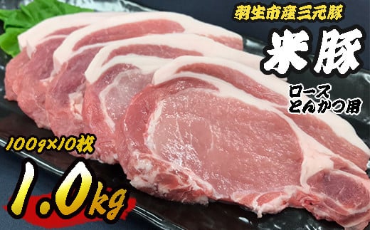 【埼玉県羽生市】羽生市産三元豚　間中さん家の米豚　ロースとんかつ用　1kg