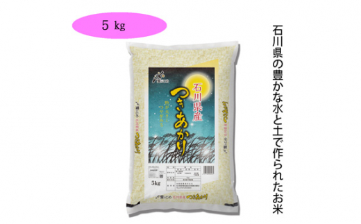 No 1 石川県産 つきあかり 5kg 5kg 1袋 お米 精米 白米 石川県 石川県宝達志水町 ふるさと納税 ふるさとチョイス