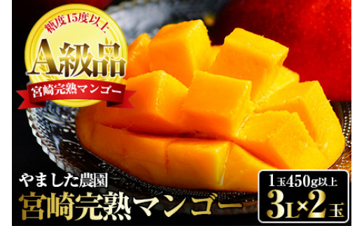 宮崎県産 完熟マンゴー 訳あり 3kg ドライマンゴー100g セット - 果物