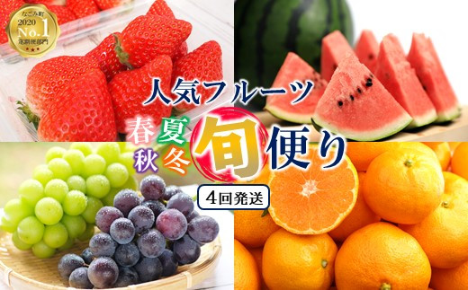 Nn02 定期便４回 春夏秋冬 旬の人気フルーツ 熊本県なごみ町 熊本県和水町 ふるさと納税 ふるさとチョイス