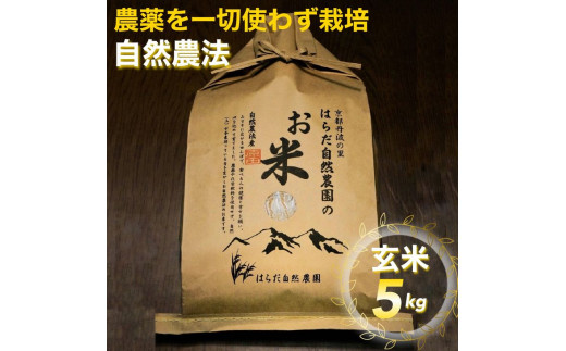 自然農法＜農薬を一切使わず栽培＞玄米5kg《令和4年産 京都丹波産 無