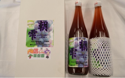 葡萄 農家『信ちゃん果樹園』巨峰 100％ ジュース 2本 - 福岡県朝倉市