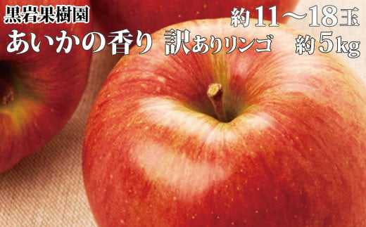 No.5657-2643]あいかの香り 訳ありリンゴ 約11～18玉 約5kg 《黒岩果樹