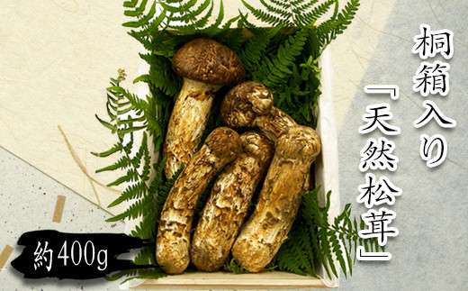 【2023年9月～11月発送】山形県産「天然松茸（まつたけ）」約400g(桐箱入)_H086(R5)