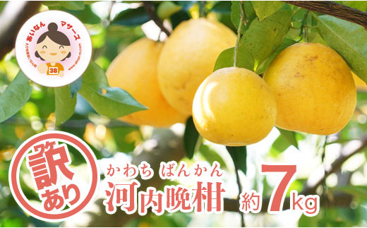 【訳あり】あいなんマザーズの河内晩柑7kg 発送期間:4月初旬～8月上旬 (なくなり次第終了)