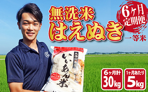 SE0098 【6回定期便】無洗米はえぬき 5kg×6回(計30kg) 農家直送『いい ...