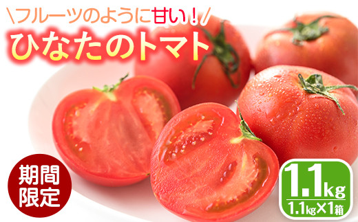先行予約受付中！2026年2月から順次発送予定＞ひなたのとまと(1.1kg