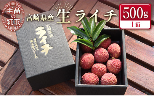 限定50セット＞宮崎県産 生ライチ「至高の紅玉」計500g 人気
