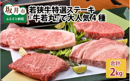 y䌧szዷIXe[Llߍ킹 `cXwہxőlC4` [J-1805]