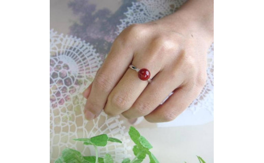 ymhюszXElق̎X̎w48