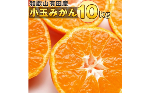 みかん 10kg 箱 食品の人気商品 通販 価格比較 価格 Com みかん 10kg 箱 食品の人気商品 通販 価格比較 価格 Com