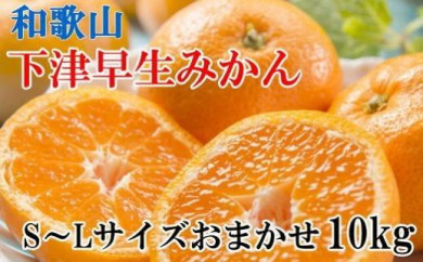 みかん10kgの通販 価格比較 価格 Com みかん10kgの通販 価格比較 価格 Com