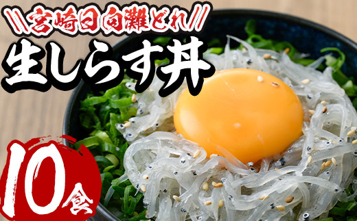 E 7 宮崎日向灘どれ生しらす丼 50g 10食分 個包装 水永水産 宮崎県門川町 ふるさと納税 ふるさとチョイス