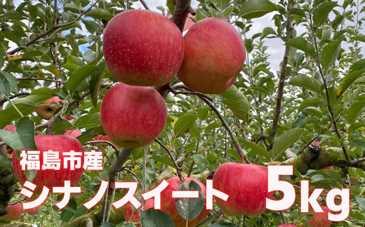 No 1132 先行予約 食べると思いだす初恋の味 りんご シナノスイート5kg 12玉 玉 福島県福島市 ふるさと納税 ふるさとチョイス