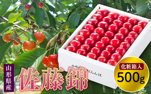 さくらんぼ佐藤錦手詰500g 化粧箱入 F2y 43 山形県 ふるさと納税 ふるさとチョイス