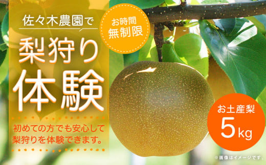 21年8月より順次発送 満喫 佐々木農園で梨狩り体験 大分県九重町 ふるさとチョイス ふるさと納税サイト