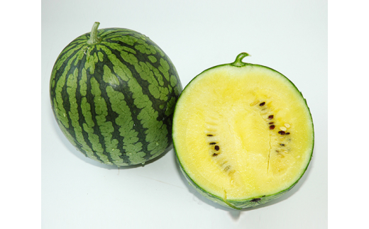 No 078 黄色い小玉スイカ約3kg 3 5個 果物 愛知県 特産品 愛知県刈谷市 ふるさと納税 ふるさとチョイス