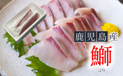 A1 4738 刺身用ぶり柵2本 冷凍 皮無 鹿児島県垂水市 ふるさと納税 ふるさとチョイス