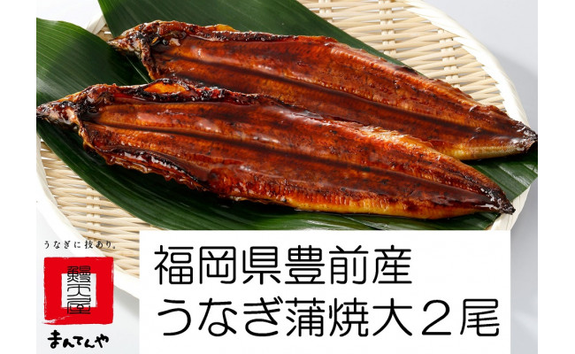 福岡県産うなぎ蒲焼大2尾（1尾あたり156～189g） - 福岡県豊前市｜ふるさとチョイス - ふるさと納税サイト