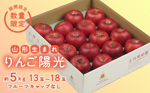 先行予約 2026年度発送》【王将果樹園】りんご陽光5kg りんご リンゴ