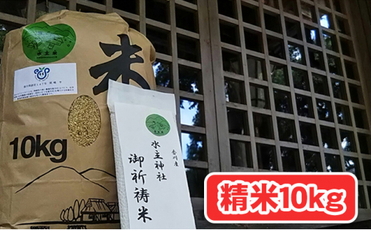 【香川県東かがわ市】[��4631-1943]令和4年新米（無洗米10kg）ｴｺﾌｧｰﾏｰの特別栽培米 水主米（みずしまい）【ご祈祷米付き】