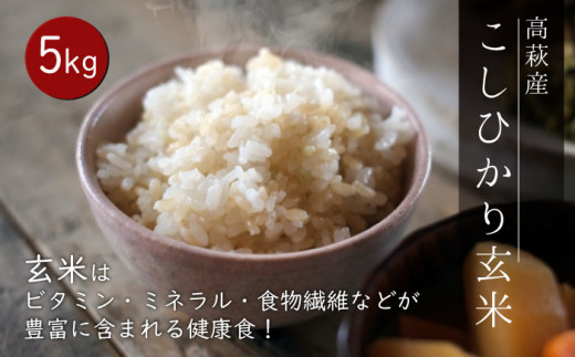 高萩産 コシヒカリ 玄米 ５ｋｇ - 茨城県高萩市｜ふるさとチョイス
