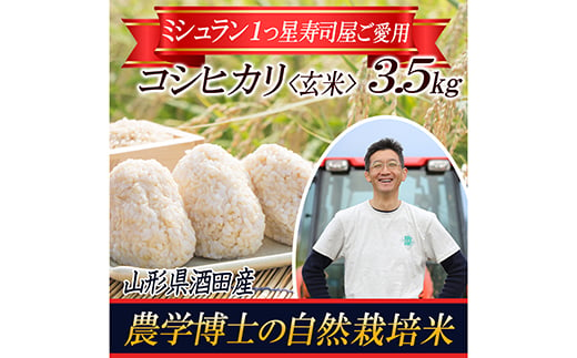 【令和4年産】《自然栽培米》 コシヒカリ 農学博士が育てた 玄米