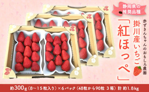 １１８４ 掛川産いちご 紅ほっぺ 約300g ６パック計1 ８ｋｇ 令和３年３月頃からの発送 赤ずきんちゃんのおもしろ農園 静岡県掛川市 ふるさと納税 ふるさとチョイス