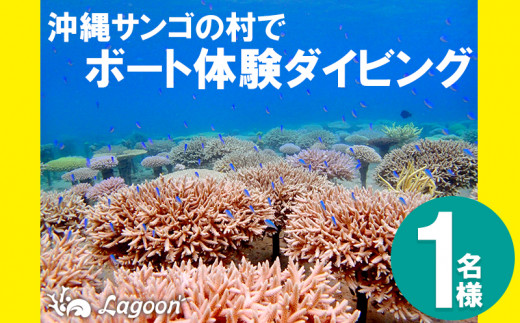 沖縄サンゴの村でボート体験ダイビング 1名様 沖縄県恩納村 ふるさと納税 ふるさとチョイス