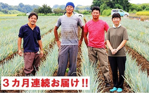 3ヶ月連続お届け】関田農園の「厳選 長ねぎ（泥付き）」箱3kg×3回