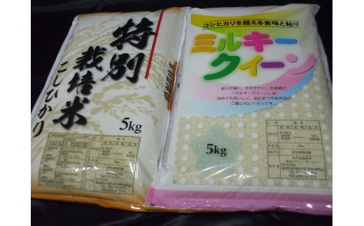 【お米の違いが実感できる】特別栽培米こしひかり5kg＆ミルキークイーン5kgセット 令和5年産米◇