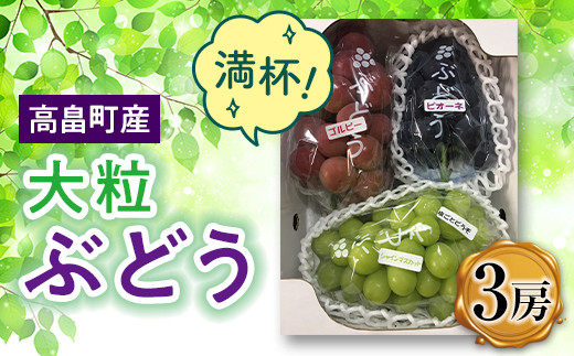 【数量限定】山形県高畠町産 大粒ぶどう満杯詰め 3房詰合せ F20B-312