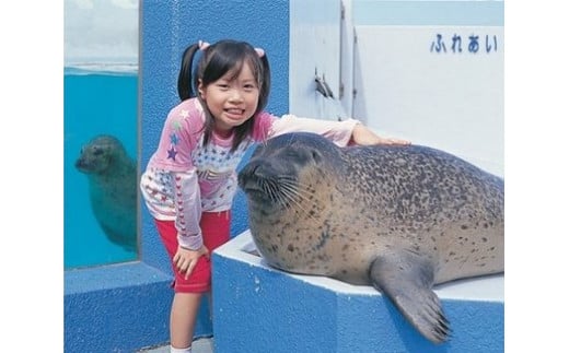 南知多ビーチランド飼育係一日体験 愛知県美浜町 ふるさと納税 ふるさとチョイス