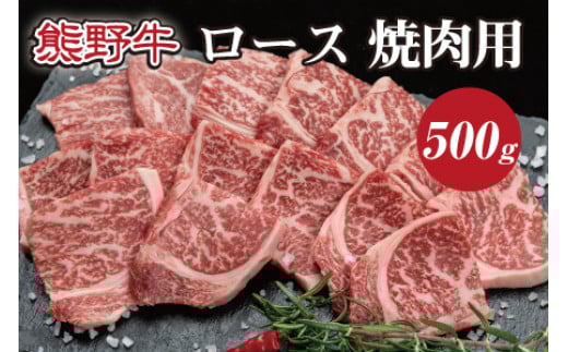 【和歌山県串本町】特選黒毛和牛 熊野牛 焼肉用ロース 約500g【mtf410A】