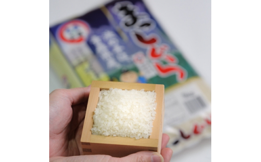 yX\acszߘa7NYXY܂@10kgy1123675z