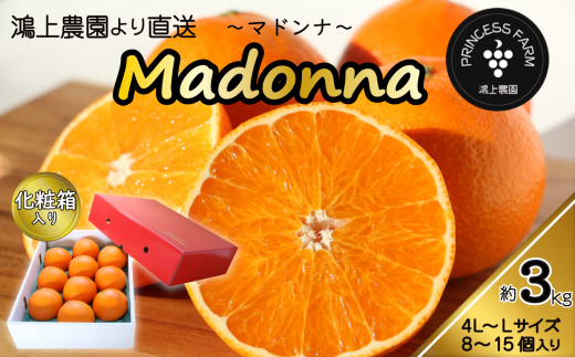 【愛媛県西条市】【先行予約】農園直送！「Madonna（愛媛果試第28号）」約3�s　化粧箱入りお任せサイズ（L〜4L）［2022年11月下旬頃〜発送開始］