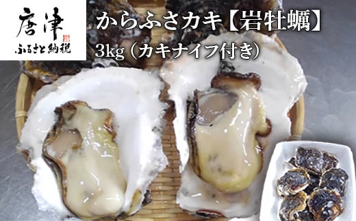 yꌧÎszws\xyߘa8N6甭zÎs[Y ӂJLw≲yx3kg(JLiCtt) L BBQ Mtg AEghA