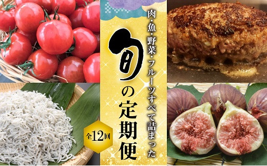 肉 魚 野菜 フルーツすべて詰まった旬の定期便 全12回お届け H028 022 愛知県碧南市 ふるさと納税 ふるさとチョイス