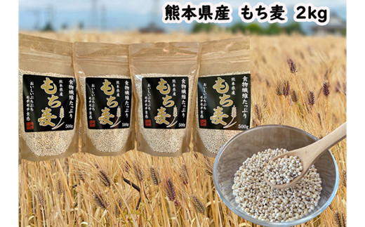 【熊本県あさぎり町】A-380　熊本県産　もち麦　2kg(500g×4袋)