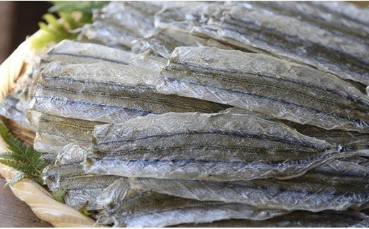 在庫僅少 年内配送 大容量400g やみつきサヨリの干物 I10 7 山口県平生町 ふるさとチョイス ふるさと納税サイト