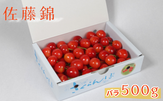 《 先行予約 》 【 令和6年産 】 さくらんぼ 佐藤錦 500g バラ詰め ( 秀 L以上 ) 〔 6月中旬 ～ 下旬頃 お届け 〕 2024年産  農家直送 産地直送 [053-006]