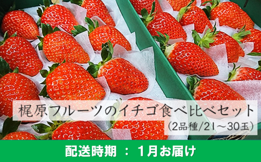 H109 梶原フルーツのイチゴ食べ比べセット 1月 ３月お届け分 福岡県うきは市 ふるさと納税 ふるさとチョイス